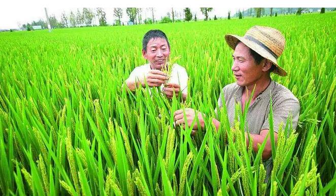 香港六宝典资料大全